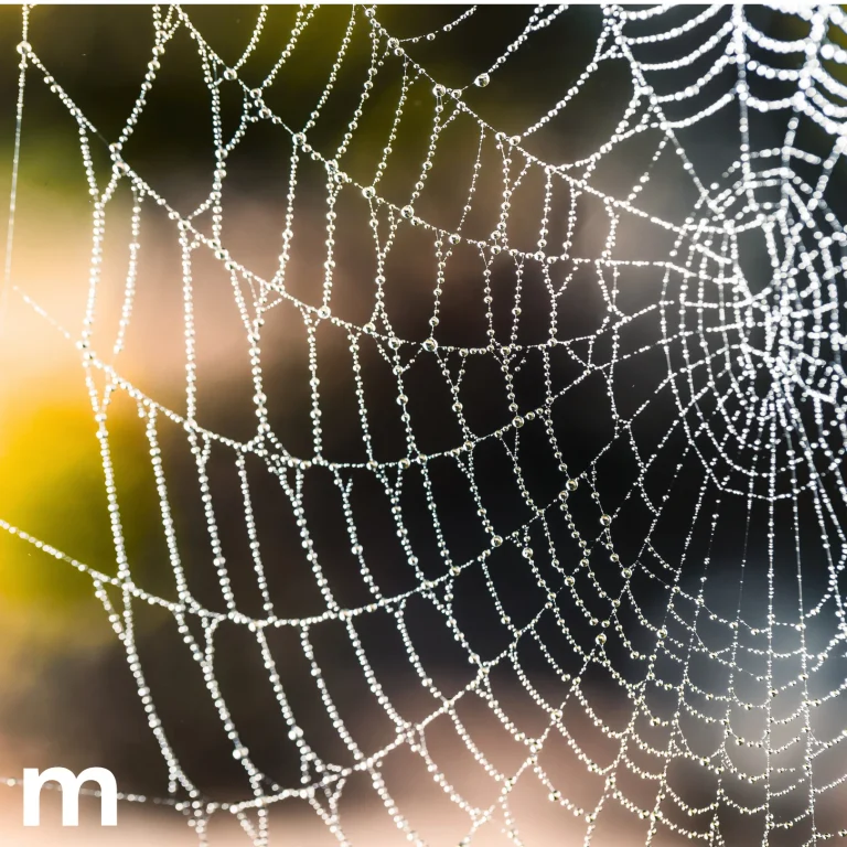 monitoramento da biodiversidade